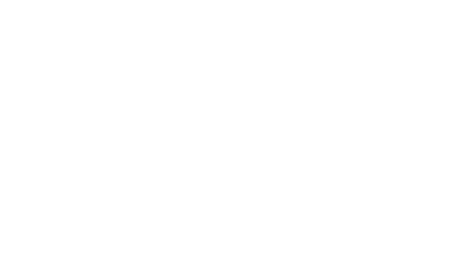 BYD Logo weiß